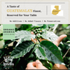 Breakfast Blend • Medium Roast